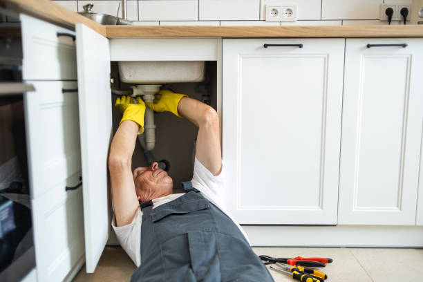 Best Residential Plumbing Services  in Clinton, MI